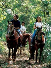 Horseback Riding - Big Rock Falls