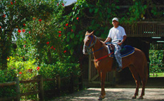 Horseback Riding