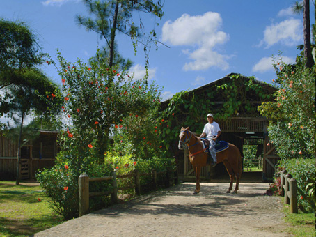 Horseback Riding