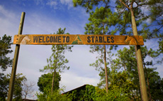 Sunrise Horseback Riding