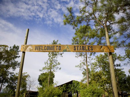 Sunrise Horseback Riding