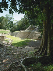 Caracol
