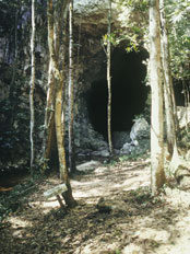 Rio Frio Cave