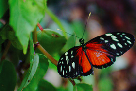 Featured Explore