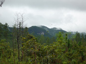 Hiking