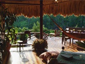 Francis Ford Coppola's Villa