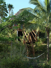 Honeymoon Cabanas
