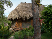 Garden View Cabanas