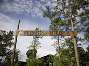 Horse Stables