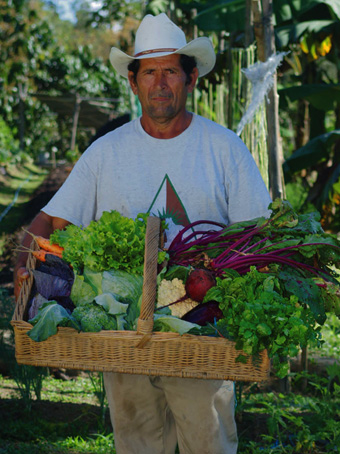 Organic Garden