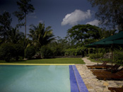 Swimming