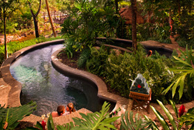Featured Amenities