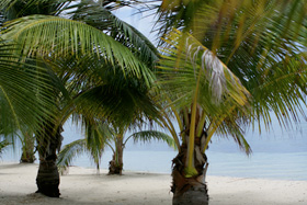 Family Mountain & Beach Package