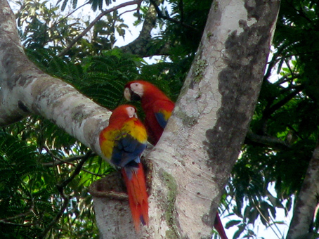 Conservation