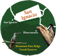 Blancaneaux Lodge