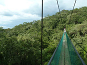 Ixpanpajul Skyway