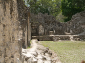 Tour of Tikal