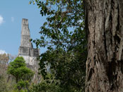 Tour of Tikal