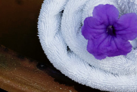 Featured Amenities