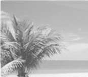 South Beach Loft - Miami