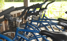 Bicycling