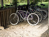 Bicycling