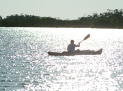Kayak Tour