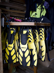 Scuba Diving