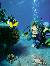 Scuba Diving