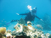 Scuba Diving