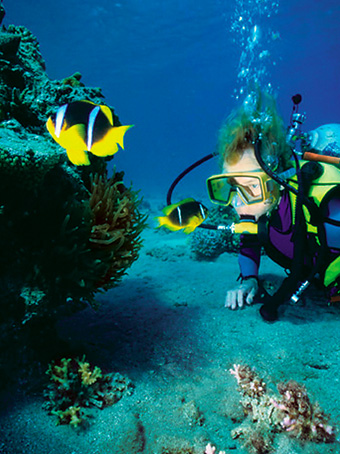 Scuba Diving