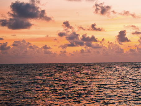 Sunset Cruise
