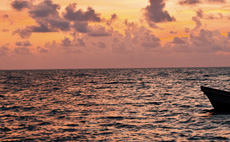 Sunset Cruise