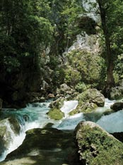 Nim Li Punit Maya Site and Blue Creek Cave