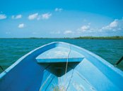 Monkey River