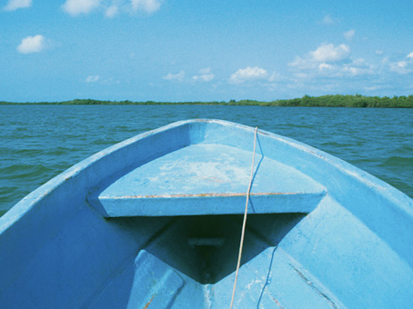 Monkey River