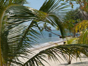 Beach & Pool