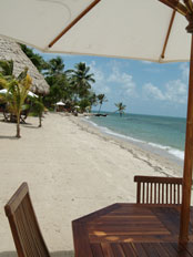Beach & Pool