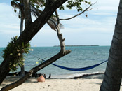 Beach & Pool