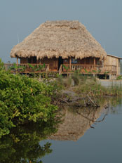 Dive Shop