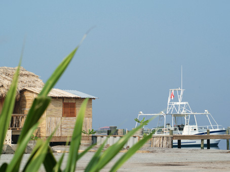 Dive Shop