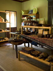 Gift Shop
