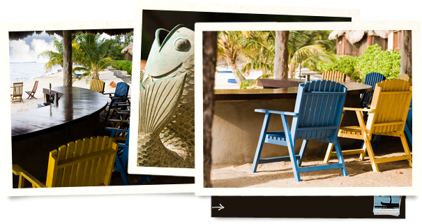 The Laughing Fish Bar