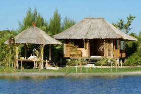 Summer Specials