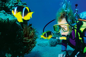 4-Night Scuba Package