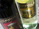 Rosso & Bianco Tasting