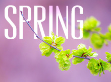Spring 2013
