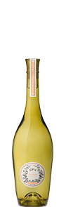 Chardonnay