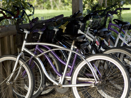 Bicycling